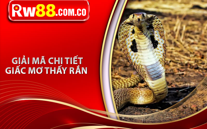 Giải mã chi tiết giấc mơ thấy rắn  