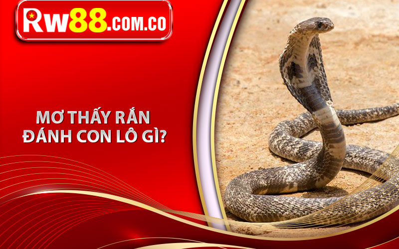 Mơ thấy rắn đánh con lô gì? 